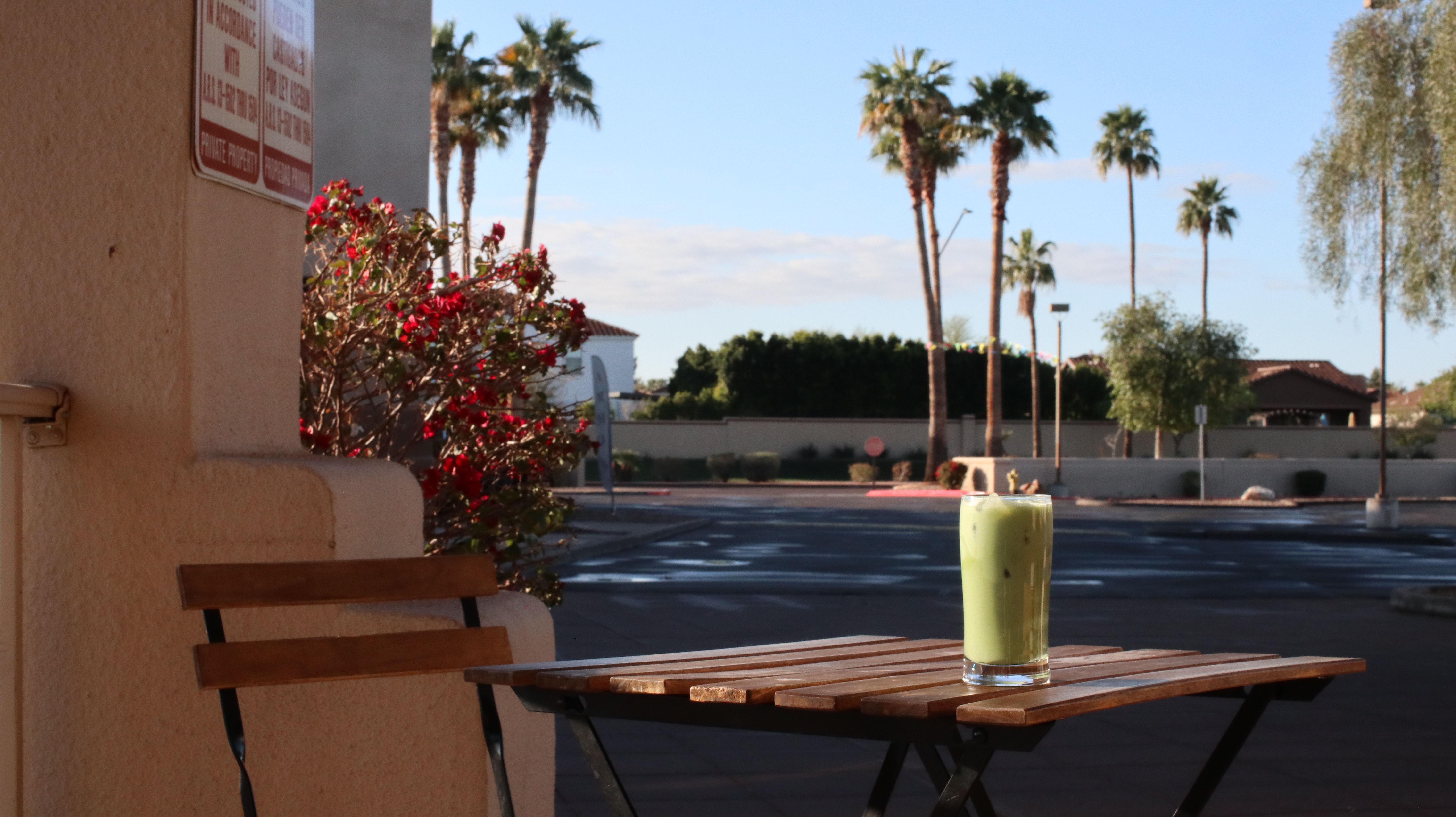 A relaxing view from the cafe patio